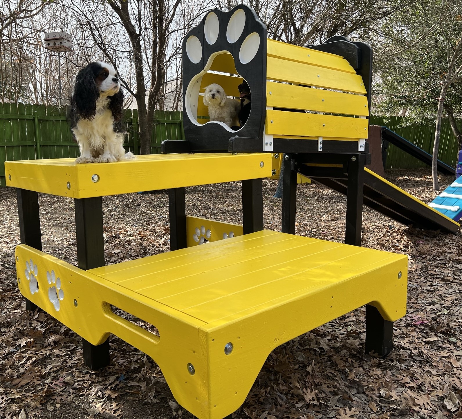 Platform – 2 Level w/ Tunnel & Ramp | Yellow Outdoor Dog Playground Equipment - Image 3