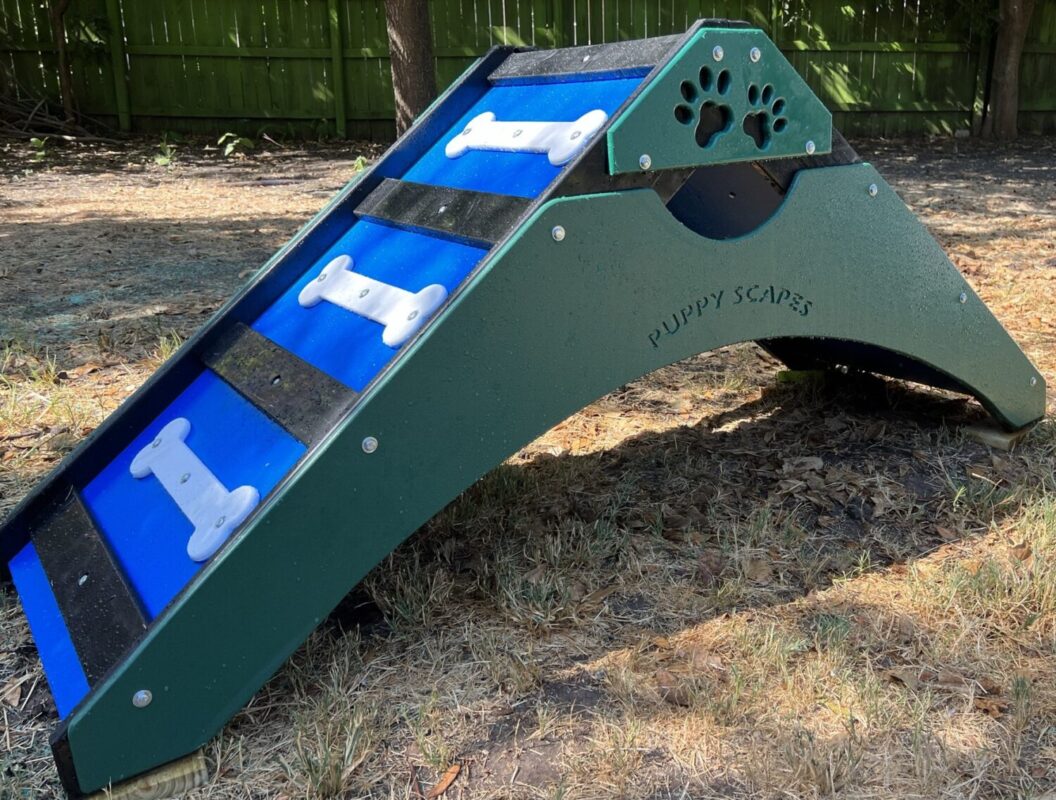 Indoor puppy playground
