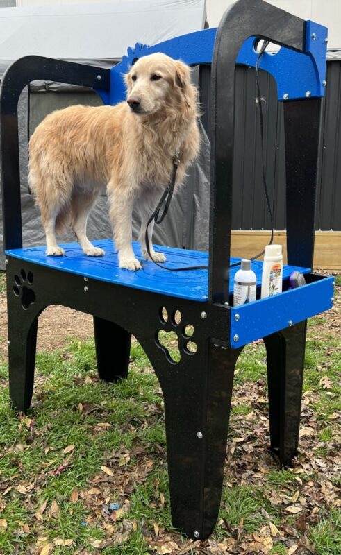 Puppy playground for sale