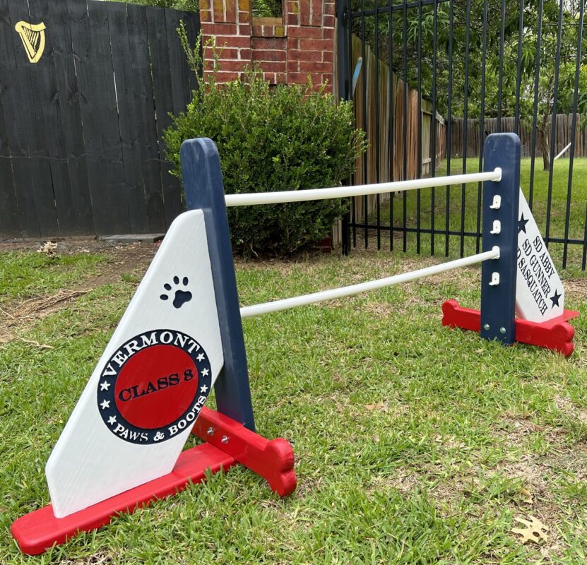 Affordable puppy playground equipment