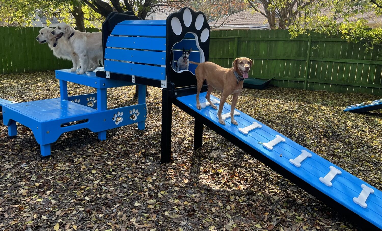 Platform – 2 Level w/ Tunnel & Ramp | Yellow Outdoor Dog Playground Equipment - Image 2