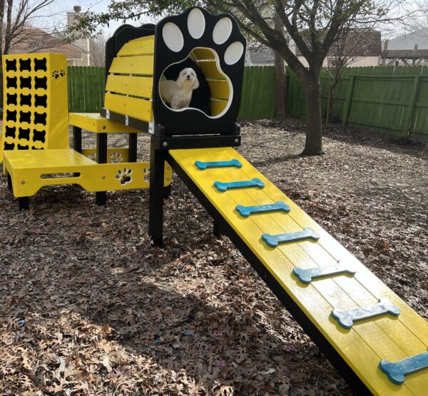 Dog home playground