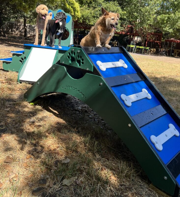 Outdoor puppy playground equipment