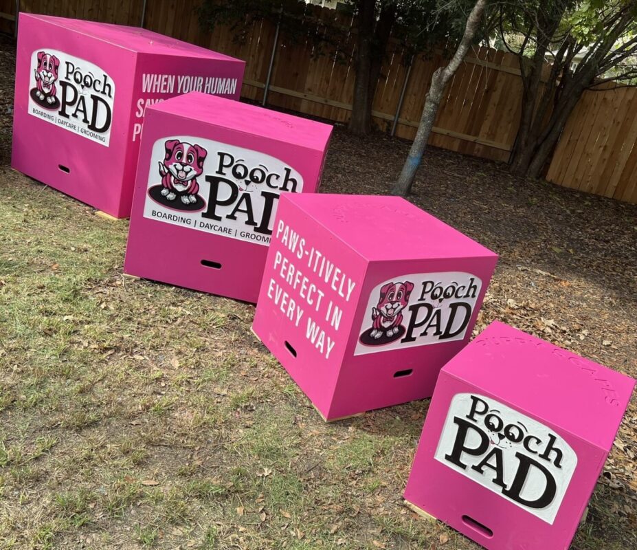 Dog playground sets